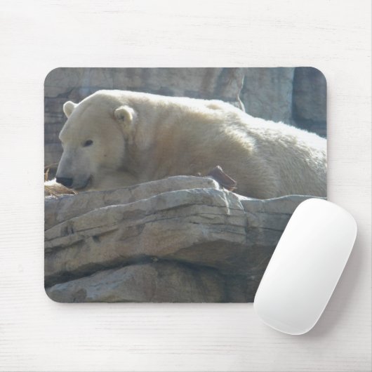 Tapis De Souris Ours polaire (Avec souris)