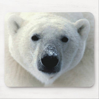 Tapis De Souris Ours polaire
