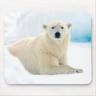 Tapis De Souris Ours polaire adulte grand mâle sur la glace d'été