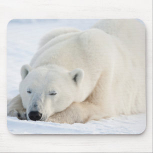 Tapis De Souris Ours polaire en hiver