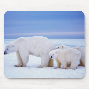 Tapis De Souris Ours polaire femelle avec des oursons