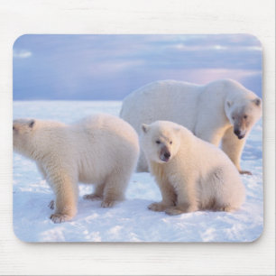 Tapis De Souris Ours polaire femelle avec des oursons sur la glace