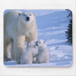 Tapis De Souris Ours polaire femelle debout avec 2 oursons