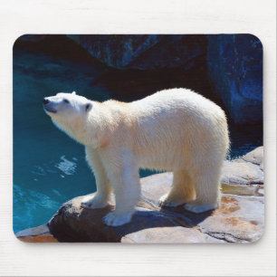 Tapis de souris ours polaire magnifique