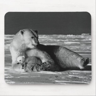Tapis De Souris Ours polaire mère vintage USA Alaska 1970 iPad Sma