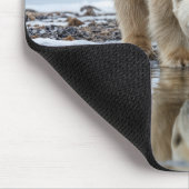 Tapis De Souris Ours polaire regardant son reflet (Coin)