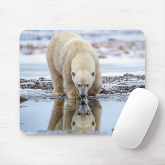 Tapis De Souris Ours polaire regardant son reflet (Avec souris)