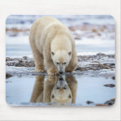 Tapis De Souris Ours polaire regardant son reflet (Devant)