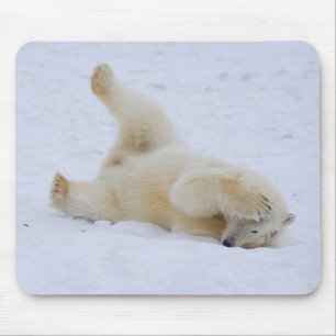 Tapis De Souris ours polaire, Ursus maritimus, ourson roulant