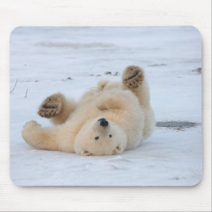 Tapis De Souris ours polaire, Ursus maritimus, ourson roulant 3