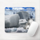Tapis De Souris Ours polaires (Avec souris)