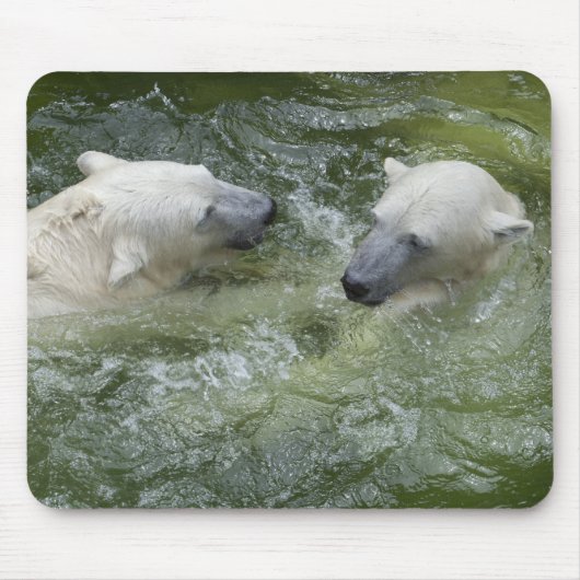 Tapis De Souris Ours Polaires (Devant)