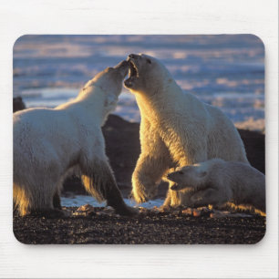 Tapis De Souris Ours polaires femelles avec ourson sur le côté, 10