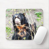 Tapis De Souris Ours spectaculaire (Avec souris)