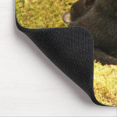 Tapis de souris Oursons d'ours noir (Coin)