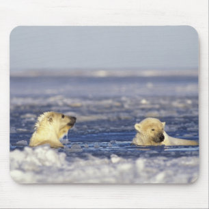 Tapis De Souris Oursons polaires jouant