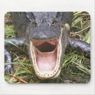 Tapis De Souris Ouvrez-vous au loin ! Alligator de la Floride