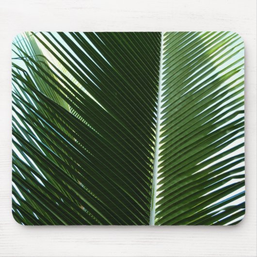 Tapis De Souris Overlapping Palm Fronds Tropical Green Abstract (Devant)