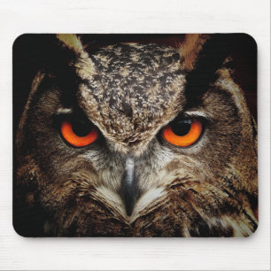 Tapis De Souris Owl Beauty