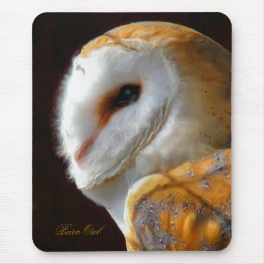 TAPIS DE SOURIS OWLS (Devant)