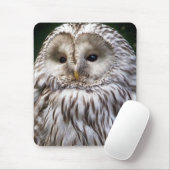 TAPIS DE SOURIS OWLS (Avec souris)