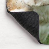 TAPIS DE SOURIS OWLS (Coin)