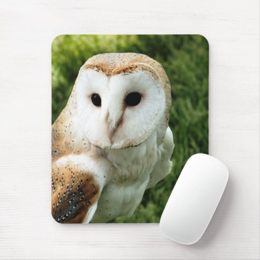 TAPIS DE SOURIS OWLS (Avec souris)