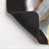 TAPIS DE SOURIS OWLS (Coin)