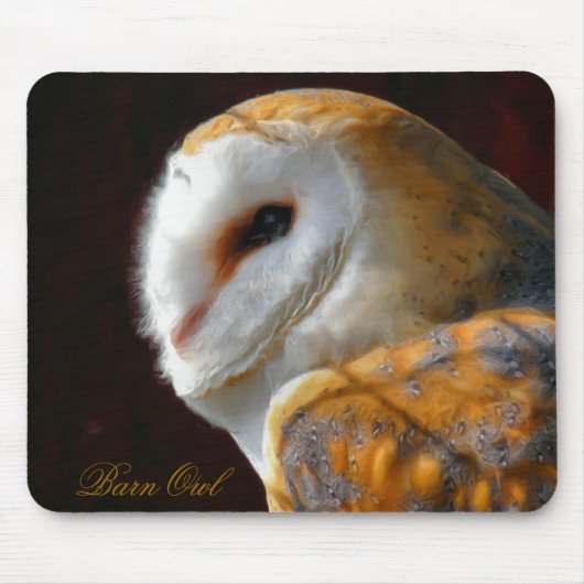 TAPIS DE SOURIS OWLS (Devant)