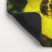 Tapis De Souris Oxythyrea Funesta Beetles Mouse Mat (Coin)