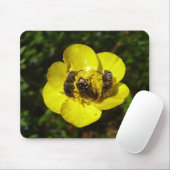 Tapis De Souris Oxythyrea Funesta Beetles Mouse Mat (Avec souris)