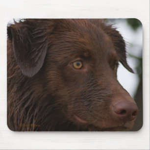 Tapis De Souris P2a Red Dog Sam Flatlandersam de près