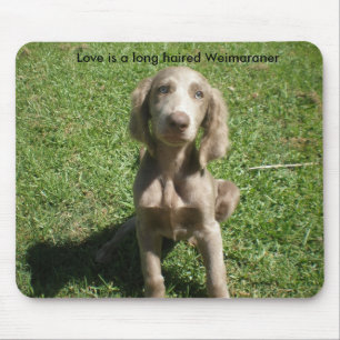 Tapis De Souris P3091298, amour est un Weimaraner aux cheveux