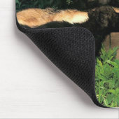 Tapis De Souris p-Wolves_Bay_Street_Cal2001 (Coin)