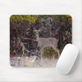 Tapis De Souris Pacifiquement.... (Avec souris)