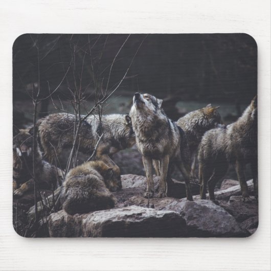 Tapis De Souris Pack Wolf (Devant)