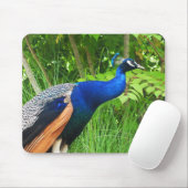 Tapis De Souris Pacock (Avec souris)