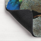 Tapis De Souris Pacock (Coin)