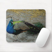 Tapis De Souris Pacock (Avec souris)