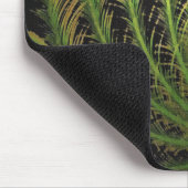 Tapis De Souris Pacock (Coin)