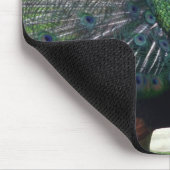 Tapis De Souris Pacock (Coin)
