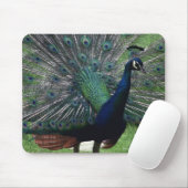 Tapis De Souris Pacock (Avec souris)