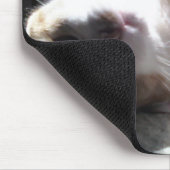 Tapis De Souris Pad de souris Feline Chat ! (Coin)
