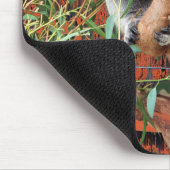Tapis De Souris Pad de souris Koala Snack Time (Coin)