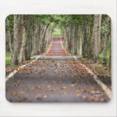 Tapis De Souris Pad de souris longue route HAMbWG (Devant)