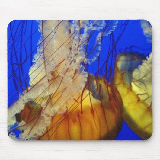 Tapis De Souris Pad de souris - Méduse (Devant)