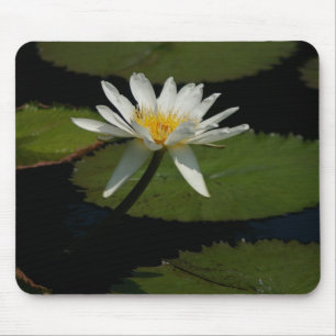 Tapis De Souris Pad de souris Nénuphar Lotus blanc