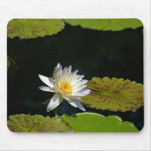 Tapis De Souris Pad de souris Nénuphar Lotus blanc
