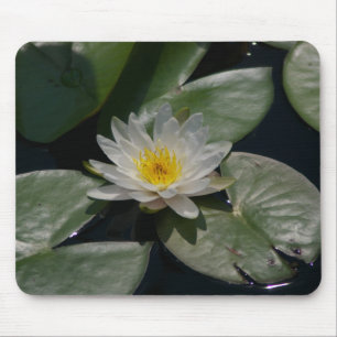 Tapis De Souris Pad de souris Nénuphar Lotus blanc