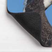 Tapis De Souris Pad de souris SWFL Eagle Cam (Coin)